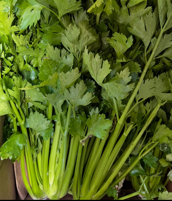Celery2