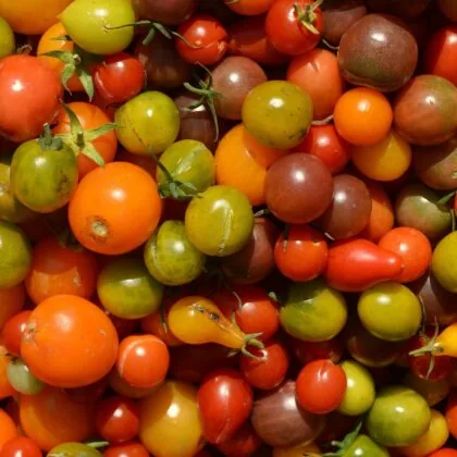 Colors Gbba8fa104 1920