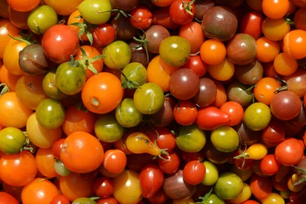 Colors Gbba8fa104 1920