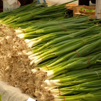 Scallions (green onion)