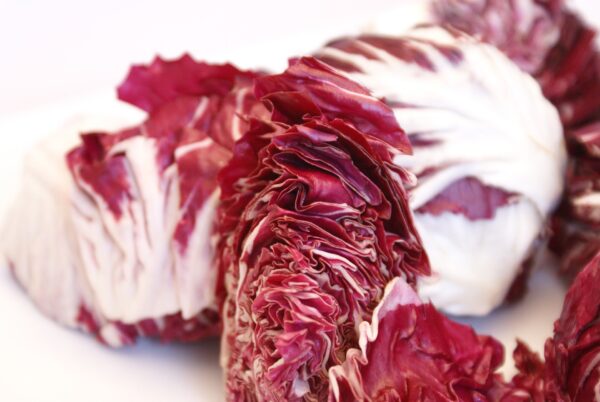 Radicchio Gc23567214 1920