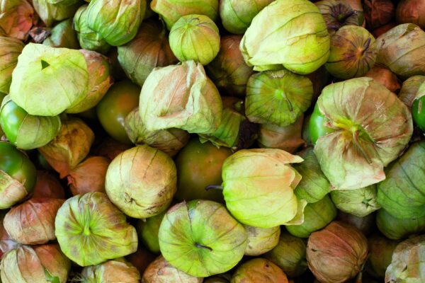 Tomatillo Geea91089f 1920