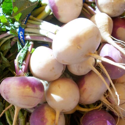 Turnips G647a8020f 1920