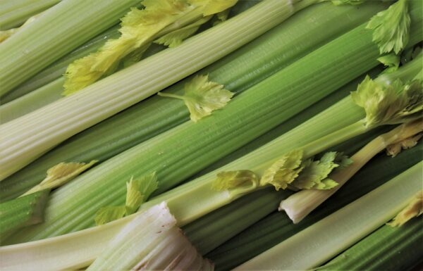 Vegetables G80914511c 1920