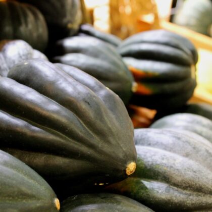 Acorn Squash Gbb5aac803 1920