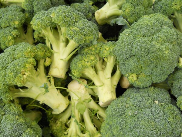 Broccoli Gb1dd1e865 1920