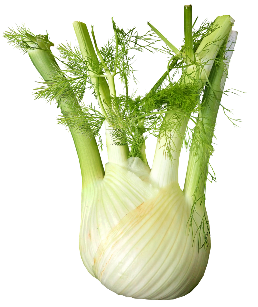 Fennel Organic Produce Direct