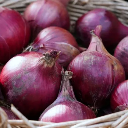 Onions Gdb5ccbde8 1920