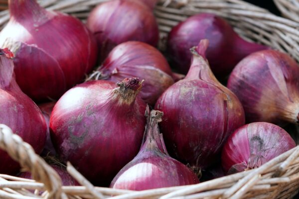 Onions Gdb5ccbde8 1920