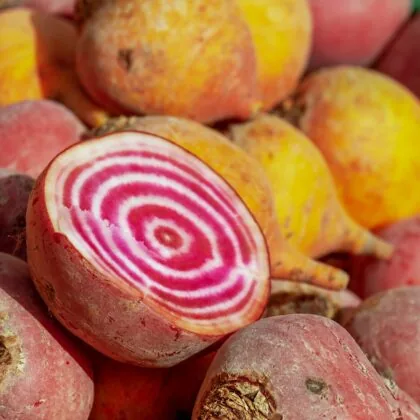 Beetroot Gb4a3e713e 1920