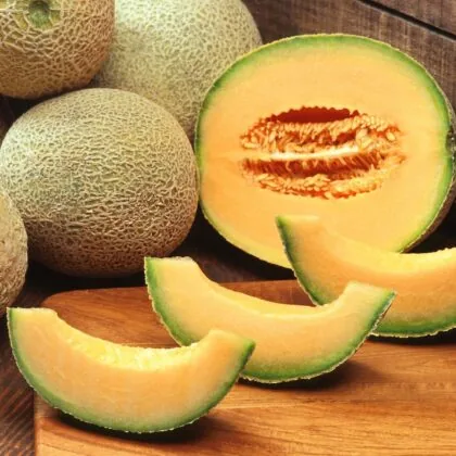 Muskmelons G24b2f2b46 1920