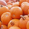 Pumpkin G5be142993 1920