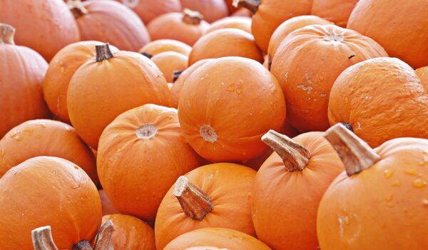 Pumpkin G5be142993 1920