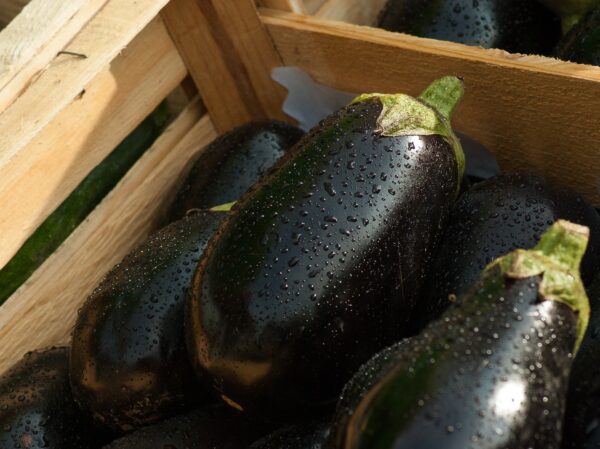 Eggplants G879a55453 1920