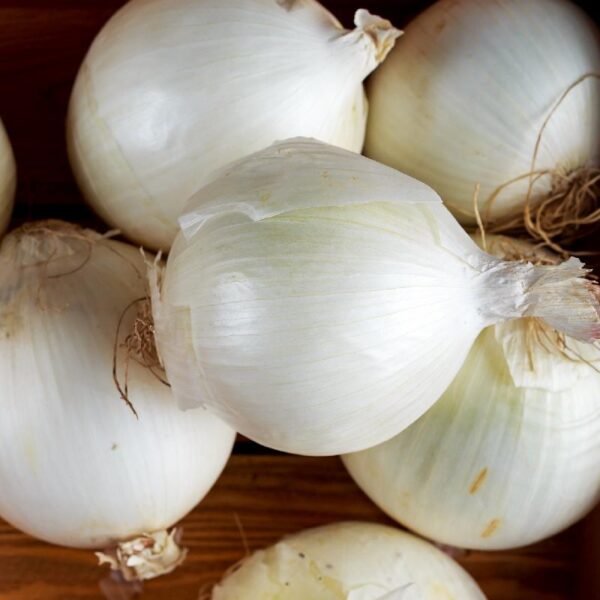 Raw White Onion In Wooden Box, Background