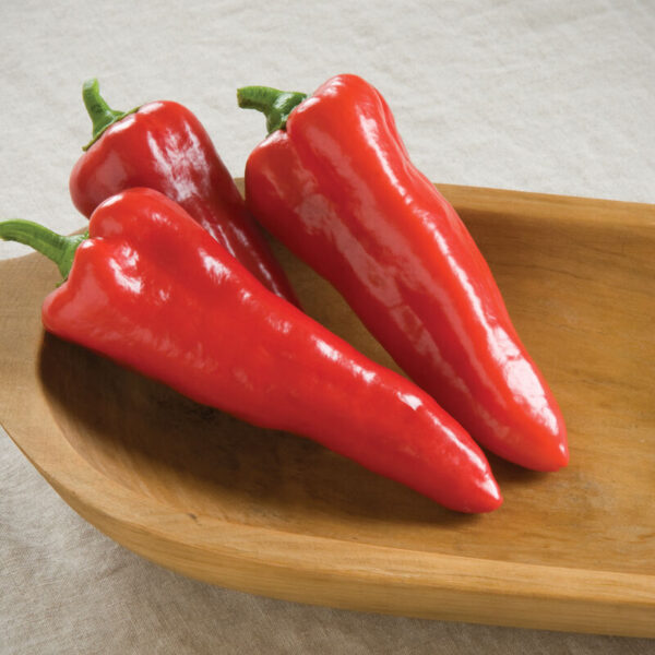 Carmen Pepper