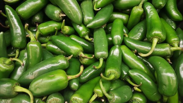 Jalapenos Gad04945af 1920
