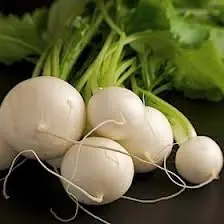 Hakurei Turnips New Entry Sustainable Farming Project