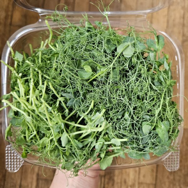 Pea Shoots