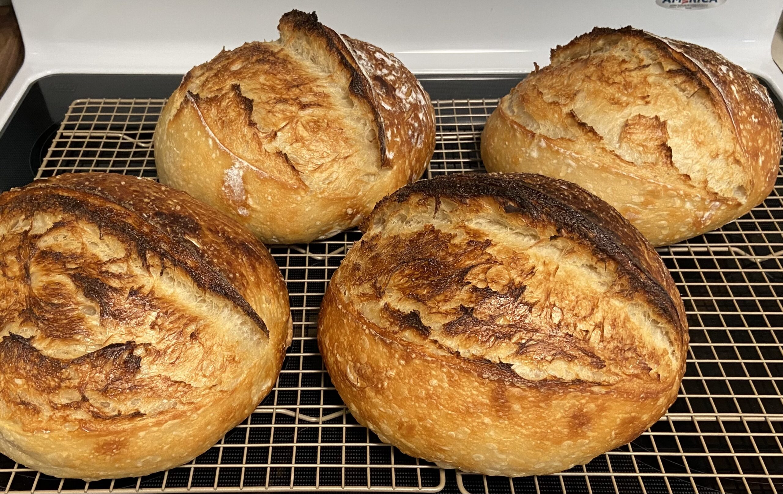 Sourdough Bread