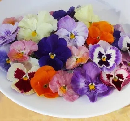 Flowers