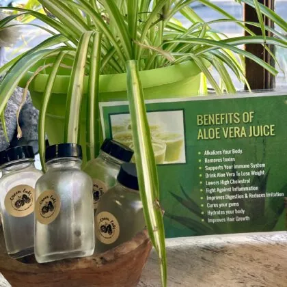 Aloevera