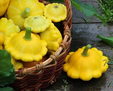 Patty Pan Squash