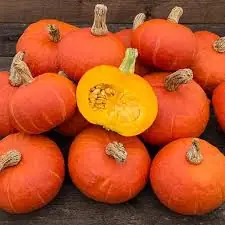 Sunshine Squash