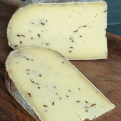 181a19 Bce072639499414c823a9ff1fc212b37~mv2