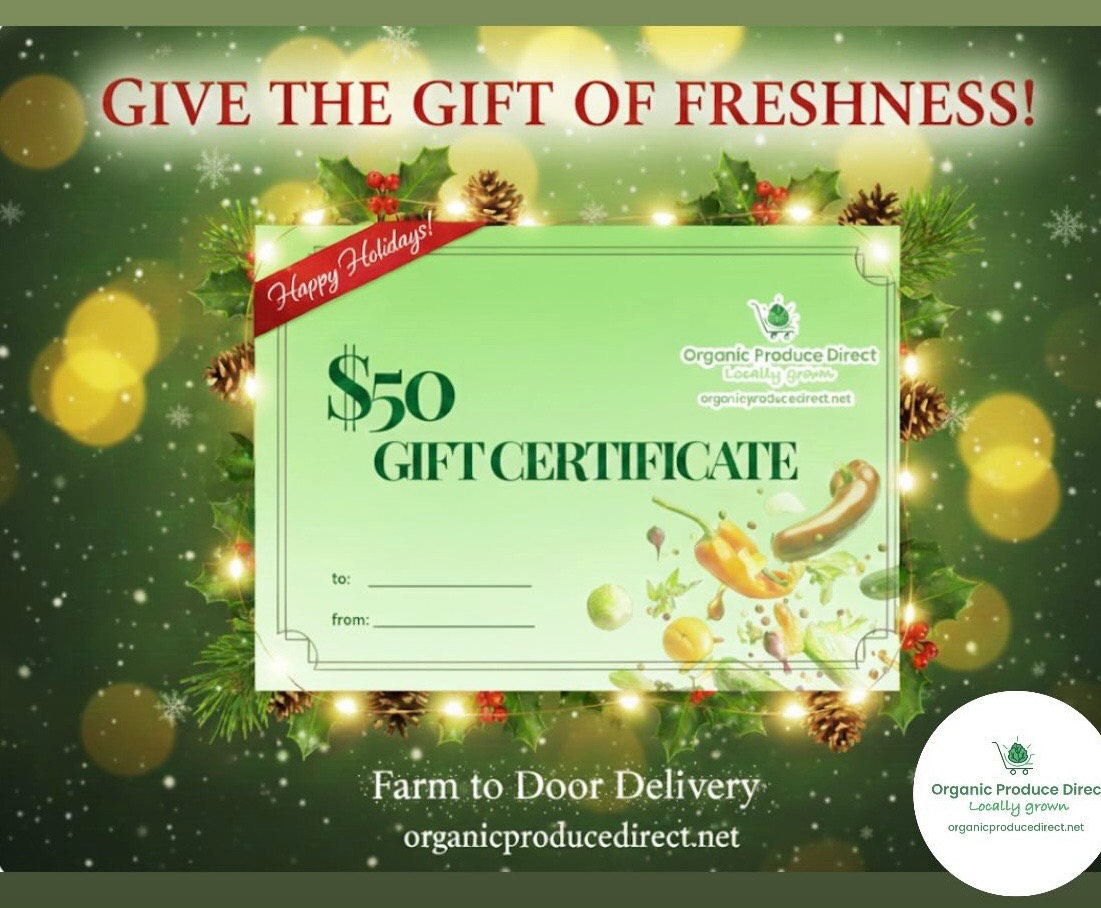 Gift Certificate
