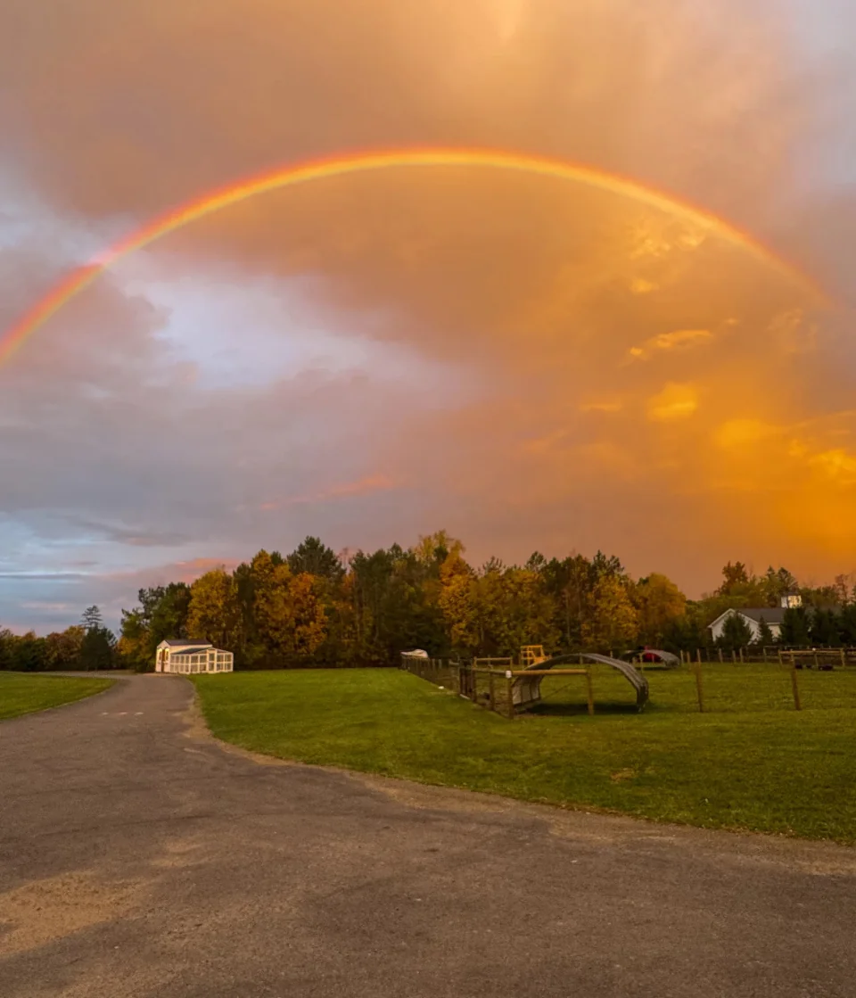 Greene Acres Family Farm