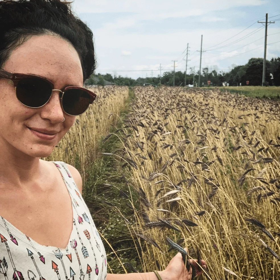 The Savage Wheat Project