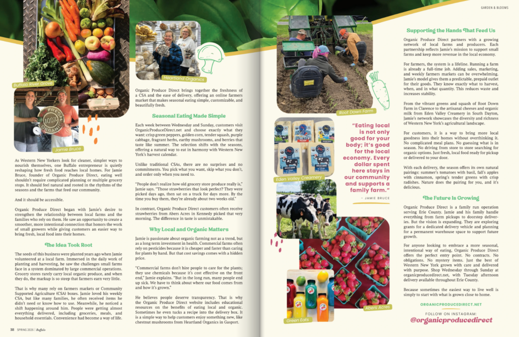 Screenshot 2026 03 28 202900